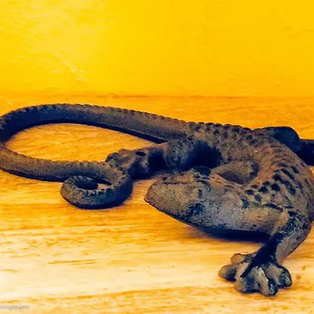 Vakantiehuis Casinha Canal - Beautifully Restored Moroccan Inspired Townhouse In Historic Centre